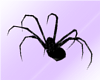 *(V)* PVC Spider