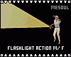 Flashlight Actions M/F