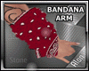 Bandana Red Arm