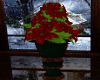 2015 Christmas Poinsetti
