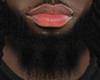 Asteri Beard #018