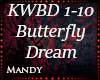 Kai Wachi ButterflyDream