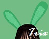 Mint Green Bunny Ears