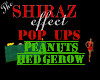 Pop Up Hedgerow Peanuts