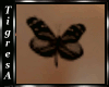 [TG] Butterfly tAttoo