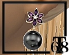 (T68)Black Pearls