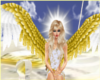 Angel's white&gold wings