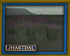 JL Nadirel Flowers