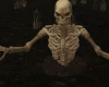 Anomated skeleton
