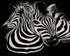 Zebra poofer