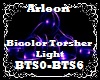 Bicolor Torsher Light