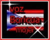 Voces Boricuas 4 you