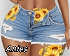 *A* Denim Shorts Sunflow