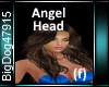 [BD]AngelHead (f)