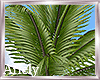 Dream Beach Palm