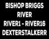 Bishop Briggs - River