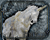 Unicorn with Pose/Anim.