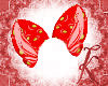 ~K~Yave/Ears