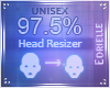 E~ Head Scaler 97.5%
