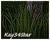 Add Tall Grass