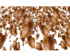ch (chicken confetti)