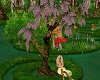 Lilac Tree