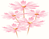 Pink Flowers 2 *MA*