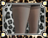 .J.O. Stockings w Shoes
