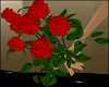 Hold 7 Red Roses