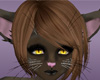 Scruffy Cat skin