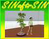 Potted Plant Pinaster