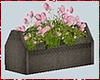 Kawaii Flower Box