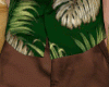 Bros Tropical Shorts