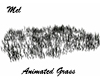 Animated Grass