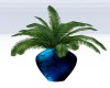 MARRAKESH POTTED PALM 1