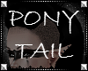 ∞ | Ponytail :: Ebony