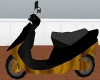 Black & Gold Moped