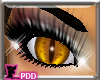 (PDD)Eyes-Cat