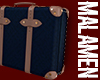Saenz Case M