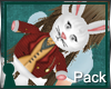 +Alice+bunny backpack