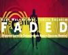 faded remix reggae
