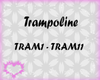 trampoline