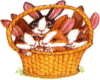 Basket of Bunnies