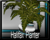 !P!Halifax.Planter