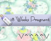 18 Weeks Pregnant (b)