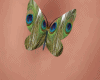 Butterfly belly