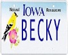 {V} Becky Licence plate