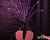 Wild Thoughts Glow Plant