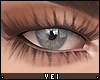 v. Zell: Soft Lashes PN