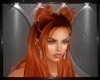 [A]Mashia Ginger